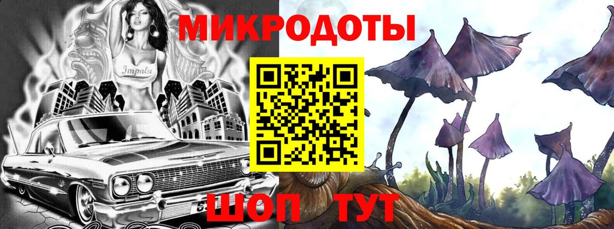Псилоцибиновые грибы ЛСД Волжский